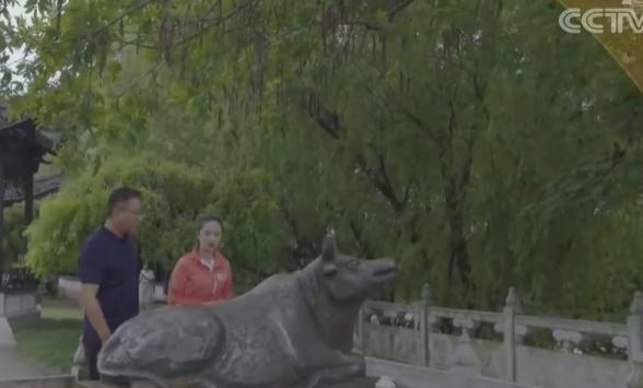 無縫鋼管大運河項目鐵牛